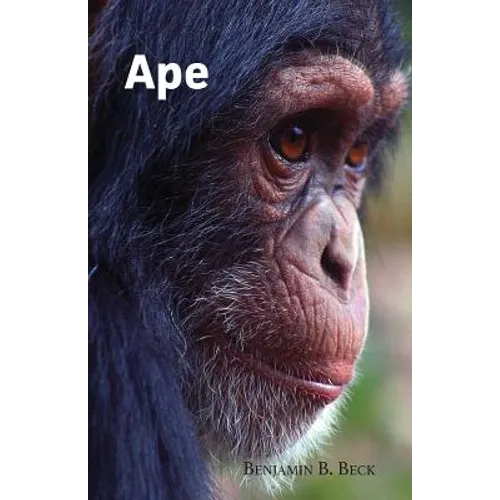 Ape - Paperback
