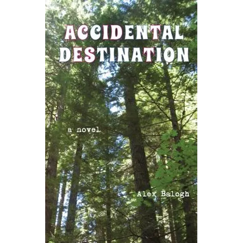 Accidental Destination - Paperback