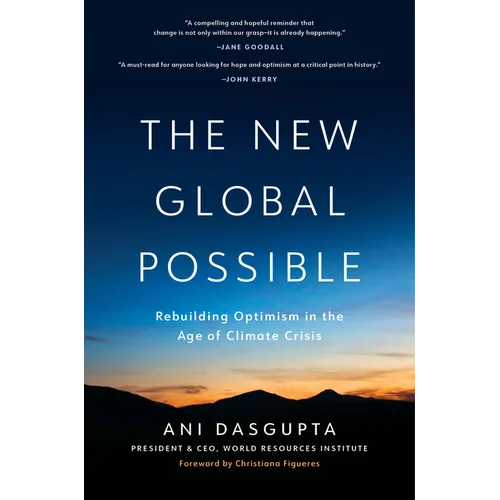 The New Global Possible: Rebuilding Optimism in the Age of Climate Crisis - Hardcover
