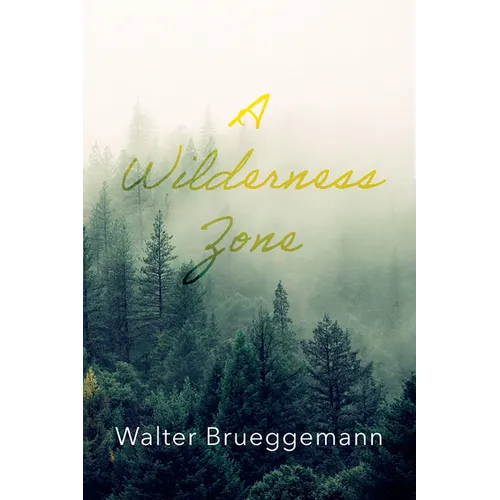 A Wilderness Zone - Hardcover