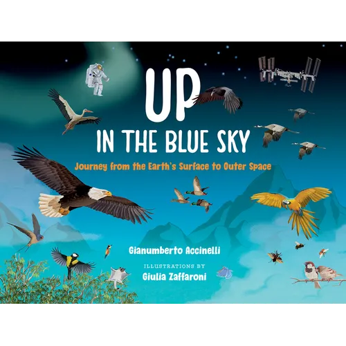 Up in the Blue Sky: Journey from the Earth's Surface to Outer Space
