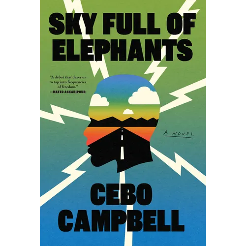 Sky Full of Elephants - Library Binding
