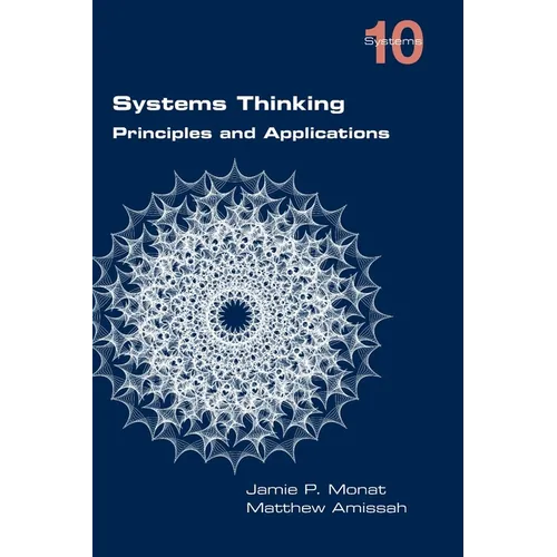 Systems Thinking. Principles and Applications - Paperback