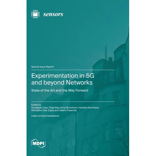 Experimentation in 5G and beyond Networks: State of the Art and the Way Forward
