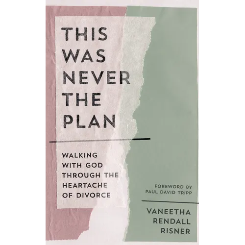 This Was Never the Plan: Walking with God Through the Heartache of Divorce - Paperback