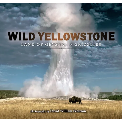 Wild Yellowstone: Land of Geysers and Grizzlies