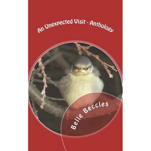 An Unexpected Visit - Anthology - Paperback