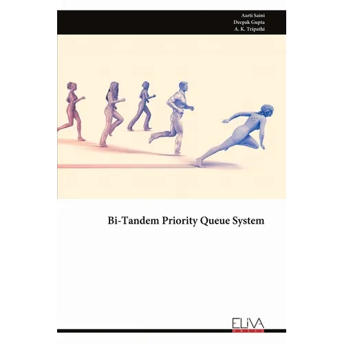 Bi-Tandem Priority Queue System - Paperback