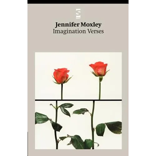 Imagination Verses - Paperback