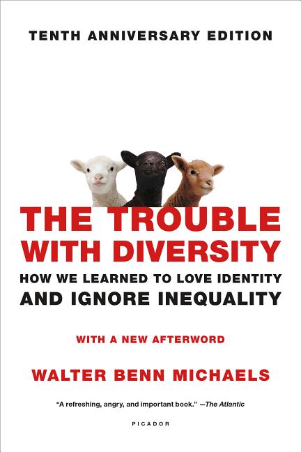 The Trouble with Diversity: How We Learned to Love Identity and Ignore Inequality - Paperback