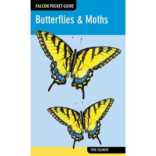 Butterflies & Moths - Paperback
