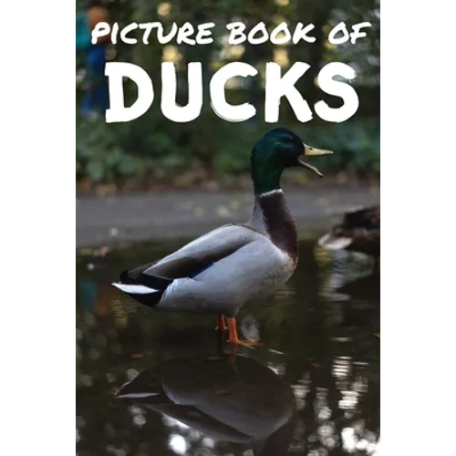Picture book of ducks: Photos of ducks - Picture book for kids and more - Picture book for seniors with Dementia and Alzheimer - - Paperback
