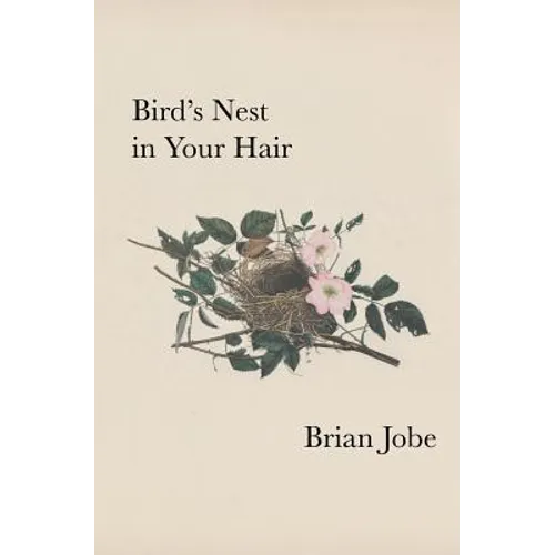 Birds Nest In Your Hair - Paperback