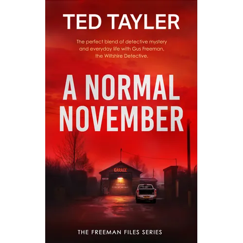 A Normal November: A Cold Case Murder Mystery Series - Paperback