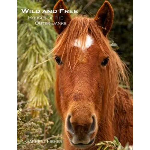 Wild and Free: Horses of the Outer Banks - Paperback