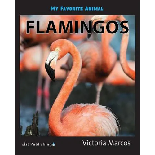 My Favorite Animal: Flamingos - Paperback