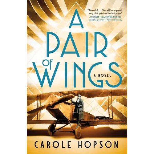 A Pair of Wings - Paperback