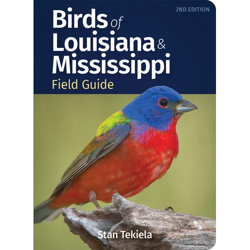 Birds of Louisiana & Mississippi Field Guide - Paperback
