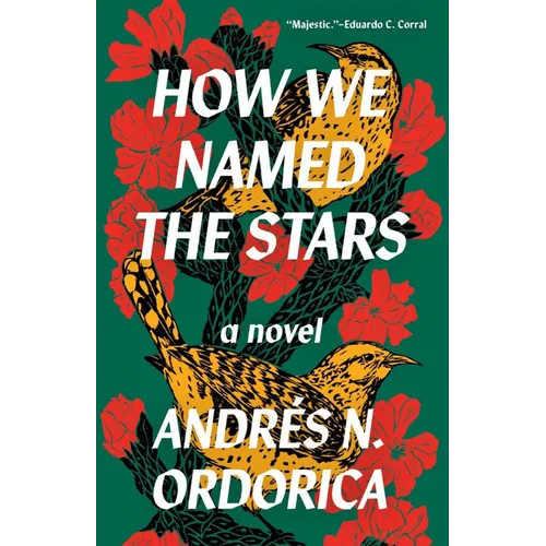 How We Named the Stars - Paperback