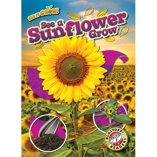 See a Sunflower Grow - Paperback