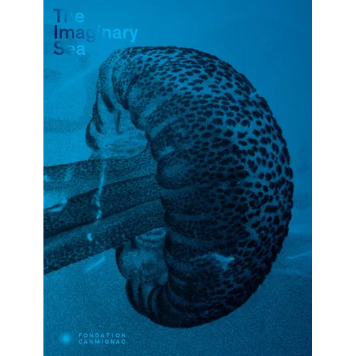 The Imaginary Sea - Hardcover