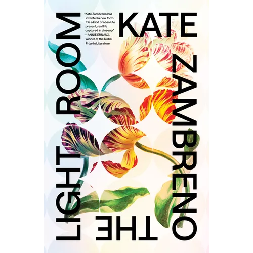 The Light Room - Paperback