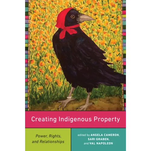 Creating Indigenous Property: Power, Rights, and Relationships