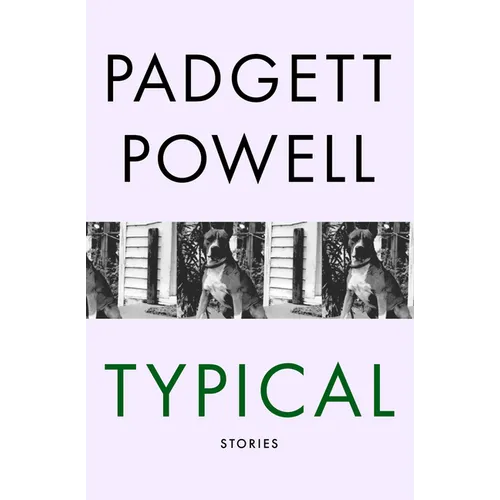 Typical: Stories - Paperback