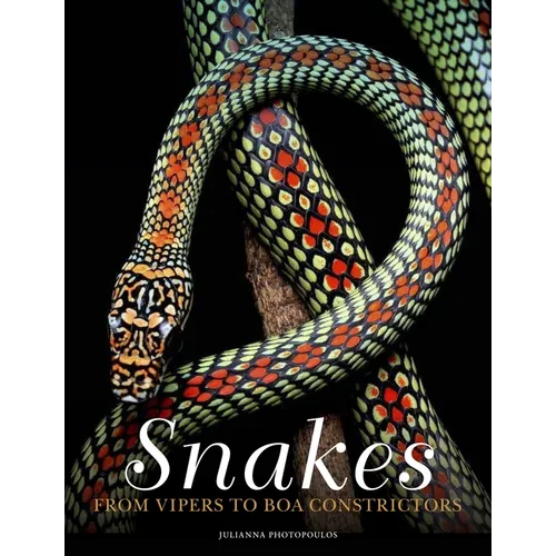 Snakes: From Vipers to Boa Constrictors - Hardcover