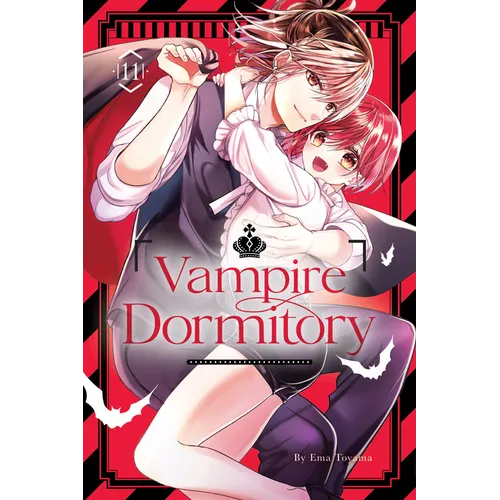 Vampire Dormitory 11 - Paperback