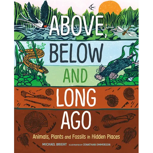 Above, Below and Long Ago: Animals, Plants and Fossils in Hidden Places