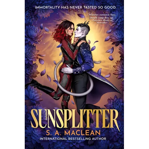Sunsplitter - Paperback