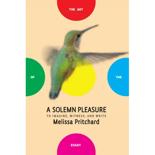 A Solemn Pleasure: To Imagine, Witness, and Write - Paperback