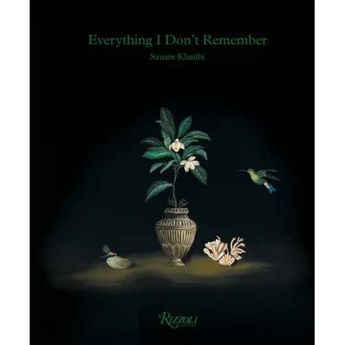 Sanam Khatibi: Everything I Don't Remember - Hardcover