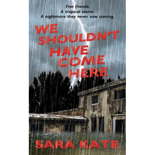 We Shouldn't Have Come Here - Paperback