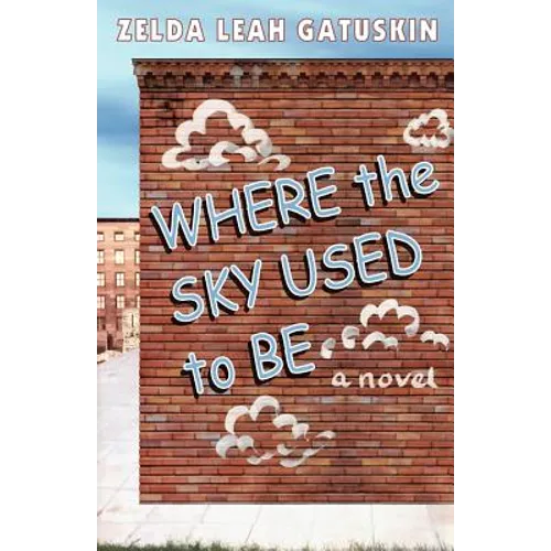 Where the Sky Used to Be - Paperback