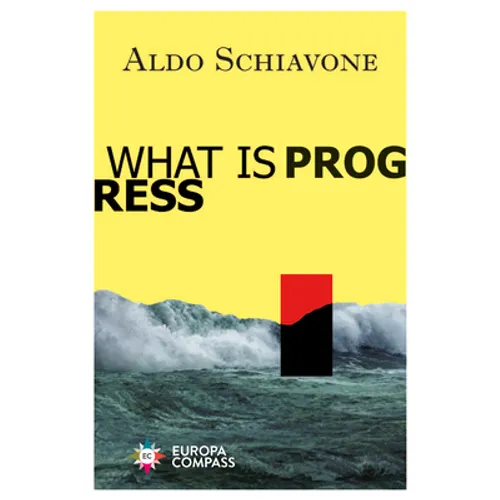 What Is Progress - Paperback