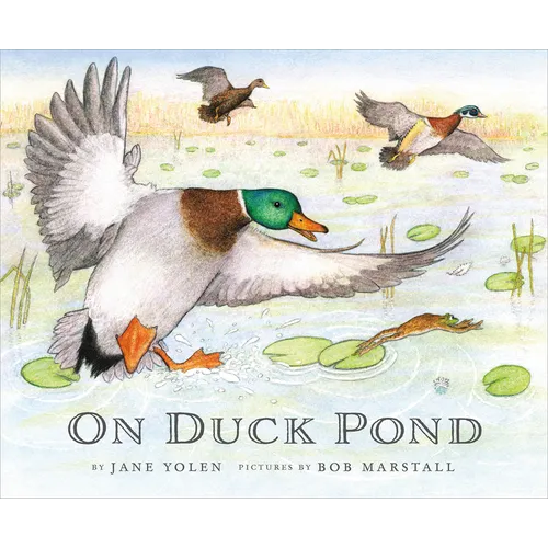 On Duck Pond - Paperback