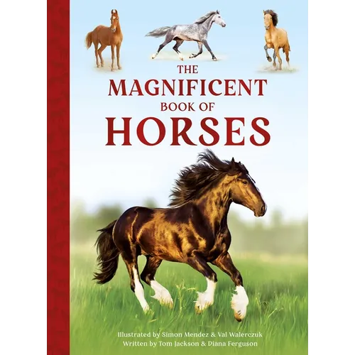 The Magnificent Book of Horses - Hardcover