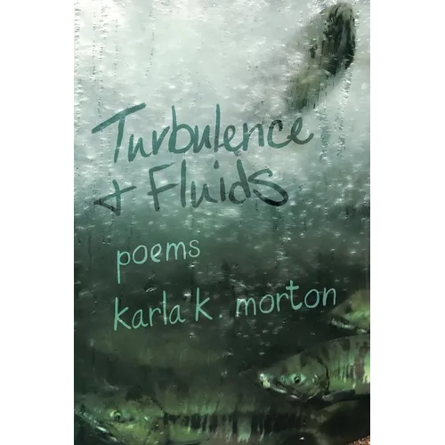 Turbulence & Fluids: poems