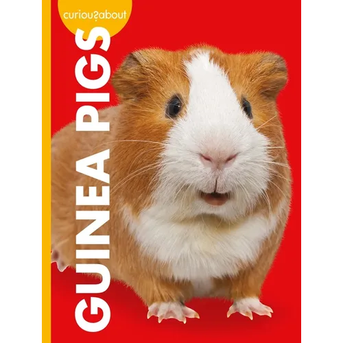 Curious about Guinea Pigs - Library Binding