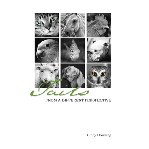 Tails from a Different Perspective - Hardcover