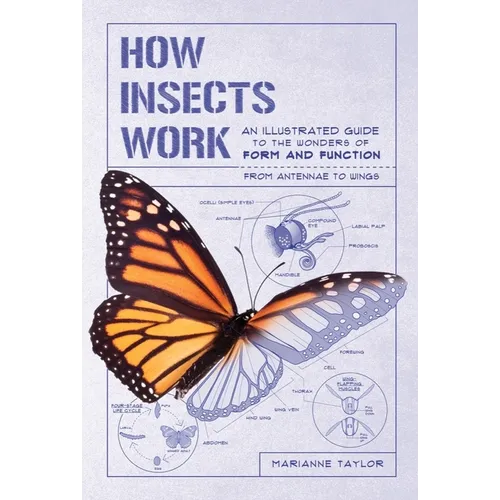 How Insects Work: An Illustrated Guide to the Wonders of Form and Function - From Antennae to Wings - Paperback