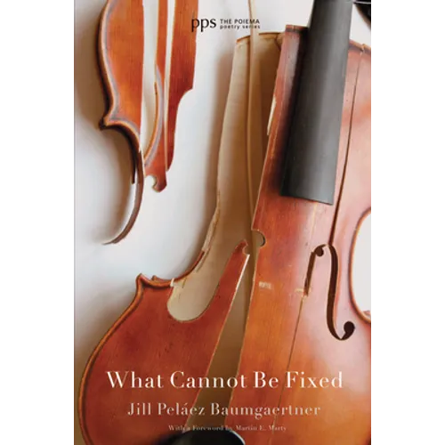 What Cannot Be Fixed - Hardcover