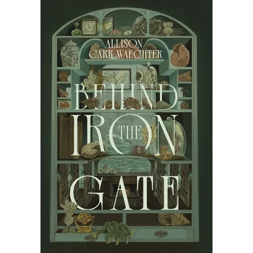 Behind the Iron Gate - Hardcover