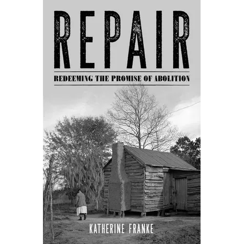 Repair: Redeeming the Promise of Abolition - Paperback