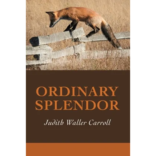 Ordinary Splendor - Paperback