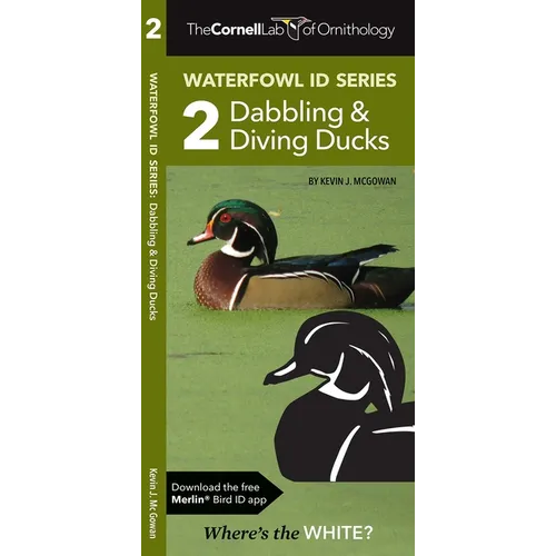 Cornell Lab of Ornithology Waterfowl Id Series: 2 Dabbling & Diving Ducks: Cornell Lab of Ornithology Bird Id Series - Paperback