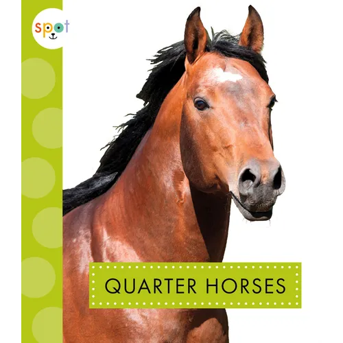 Quarter Horses - Library Binding