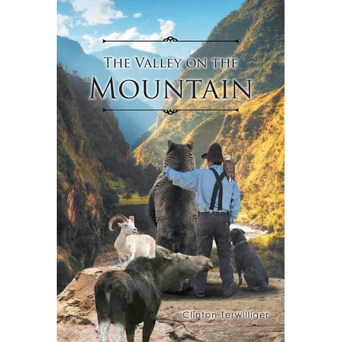 The Valley on the Mountain - Paperback